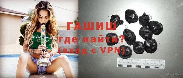 шишки Лабытнанги