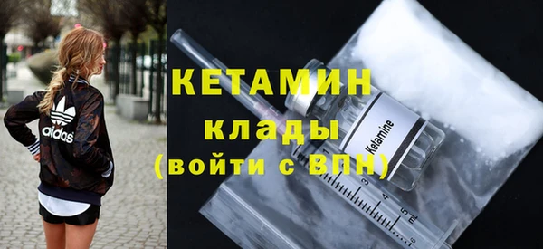 шишки Лабытнанги