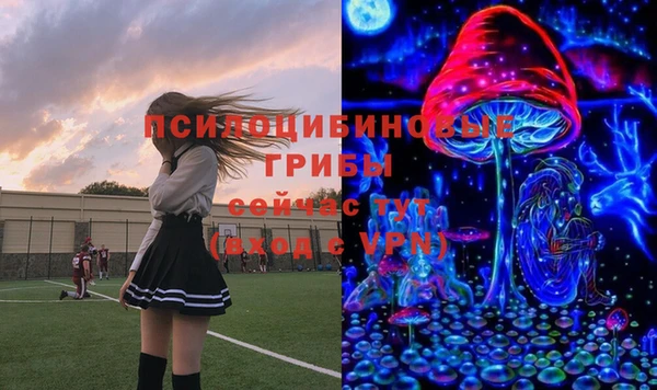 СК Ладушкин