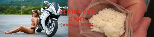 шишки Лабытнанги