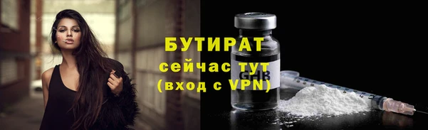 шишки Лабытнанги