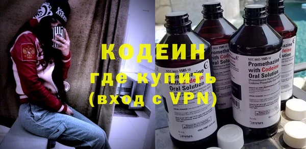 шишки Лабытнанги