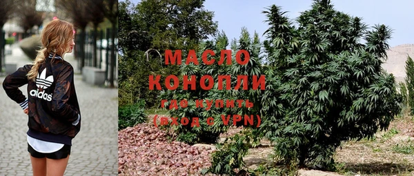 шишки Лабытнанги