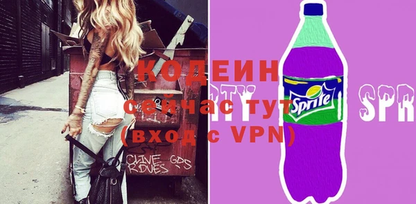 шишки Лабытнанги