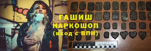 шишки Лабытнанги