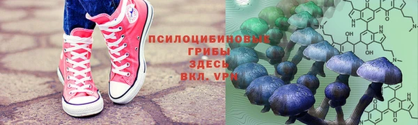 шишки Лабытнанги